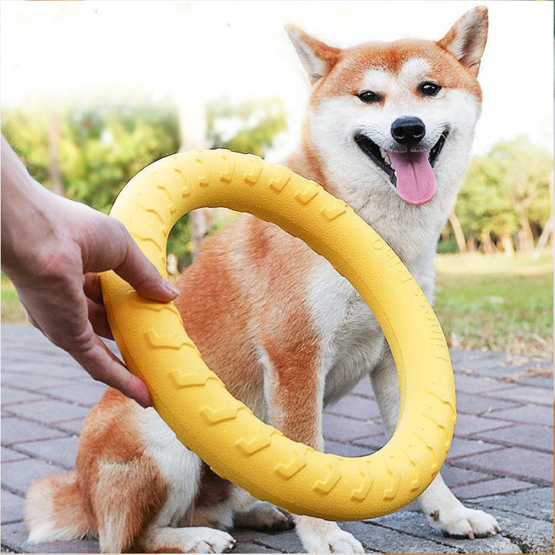 Pet Flying Disc Toy