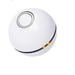 Smart USB Electric Pet Ball