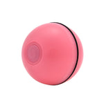 Smart USB Electric Pet Ball