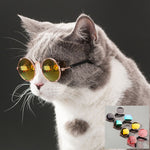 Pet Sunglasses Toy